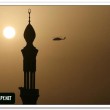 hajeid200927 hajeid200927