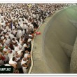 hajeid200929 hajeid200929