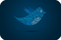 Celebrities tweet and blog for Pakistani cricket