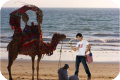 Ali Zafar's chasing the American dream!