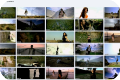 Tere Bina from Kal Kissne Dekha Hai (Music Video Download)